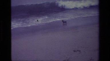 1977: Family Celebrating Vacation at Seashore with Dog and Waves