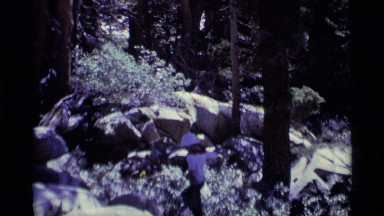 1975: a child carrying a fishing pole walks through a beautiful shaded woods.