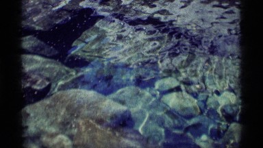 1975: lots of small light colored flecks float on the top of a pond MINARET