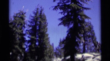 1975: boulders and some conifers and then zoom in on a mountain hemlock tree