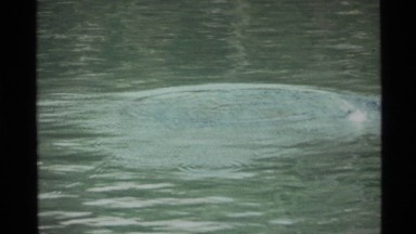 1972: a man fishing HOLLAND LAKE MONTANA