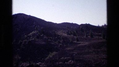 1972: Short Trees Dot the Landscape on a Hilly Terrain Idaho