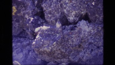 1972: archived footage of a rodent in nature IDAHO
