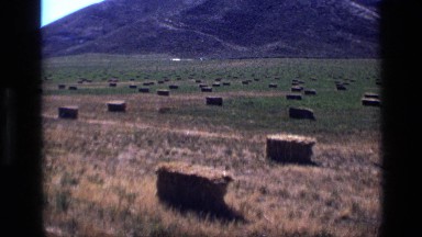 1972: view of fields with bales of hay ready to be harvested in rural farmland