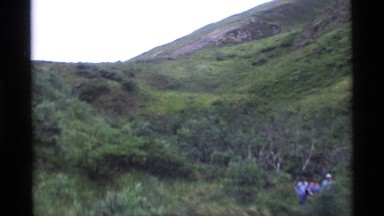 1977: Hikers in a Ravine and a Picture of Two Brown Bears Walking Alaska
