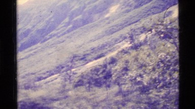 1977: green hillside with vegetation moving in the breeze, a valley