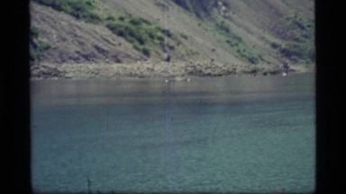 1977: an animal struggles in the water at the base of a steep slope