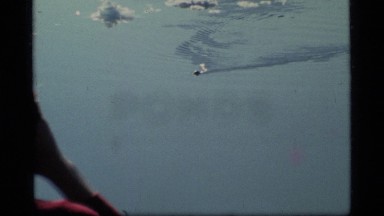1977: People Watching Seals Swim Around Ice Floes from the Shore