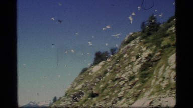 1977: white birds taking flight off of a slope over a lake with a boat and peaks