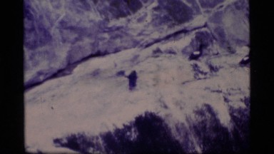 1977: birds roost on a rocky cliff and fly close to the surface of the water