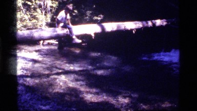 1977: a little boy playing on a tree branch SAPPHIRE LAKE MONTANA