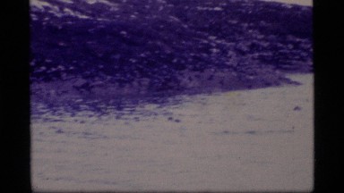 1977: shoreline, ice with bird on it, kayaker, panorama of a body of water