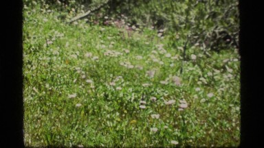 1977: zoom out on a outdoors landscape SAPPHIRE LAKE MONTANA