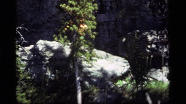 1977: a person slowly crawls over rocks using a stick while on a hike SAPPHIRE