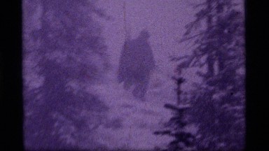 1977: person with a shovel walking downhill through woods in a blizzard SAPPHIRE