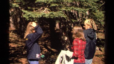 1978: young women gathered in a forest under a pine tree LAKE TAHOE CALIFORNIA