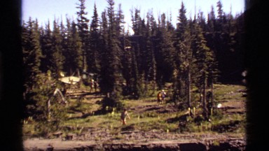 1977: people hiking in a forest SAPPHIRE LAKE MONTANA