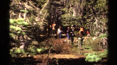 1978: group of people walking through woods watching nature LAKE TAHOE