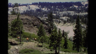 1978: On the Greeny Slopes of the Hills, Walking Through the Trees