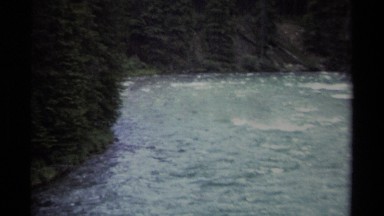 1979: rushing river in a pine forest BRITISH COLUMBIA CANADA
