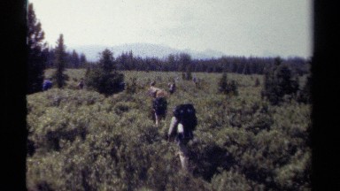 1979: people hike through an overgrown field in the wilderness BRITISH COLUMBIA