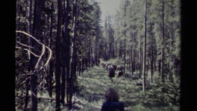 1979: a backpacker following a group of horsemen in the woods BRITISH COLUMBIA