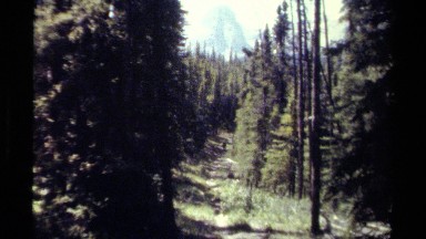 1979: a person is seen in the distance hiking in a forest BRITISH COLUMBIA