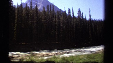 1979: river with forested bank on one side, and meadow on the other