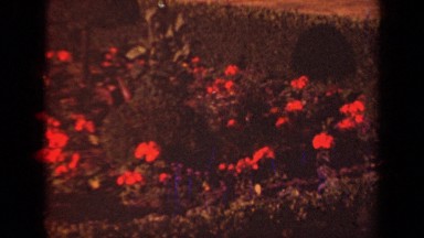 1939: beautiful park around the nature,between statue PARIS FRANCE