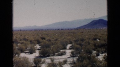 1952: large bushy desert plain SAN DIEGO