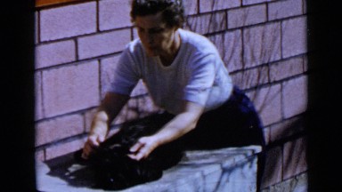 1953: woman cleaning black pet dog in sunshine CALIFORNIA