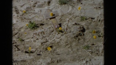 1953: girl is checking cross is fixed in its place or not with flower CALIFORNIA