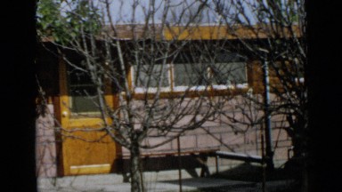 1953: there are vintage model building behind small trees CALIFORNIA