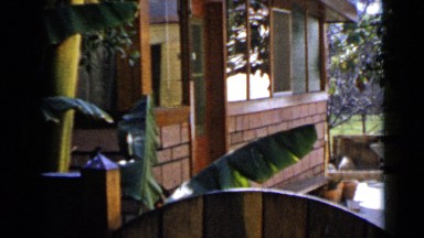 1953: the house contains banana tree and windows CALIFORNIA