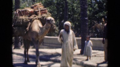 1946: man in white robe and headscarf leads packed camel down road EGYPT
