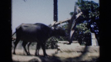 1946: the ancient period water flow method EGYPT