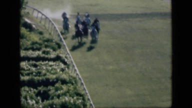 1946: the horse race in ground with smoke, person's, trees, lawn. EGYPT