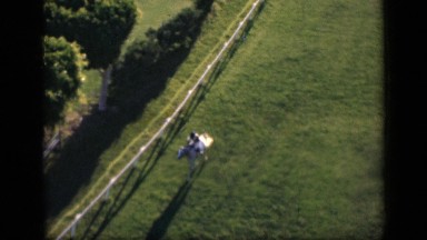 1946: guy riding on white horse in race course EGYPT