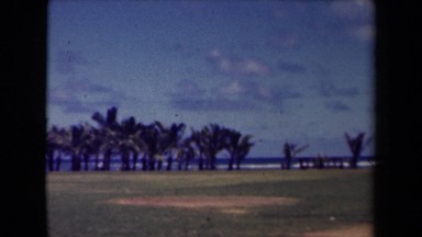 1944: Recording of Palm Trees Near Beach Kauai Hawaii