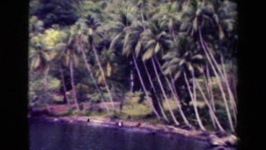 1944: Palm Trees and Boats on Coast of Tropical Island Papua New Guinea
