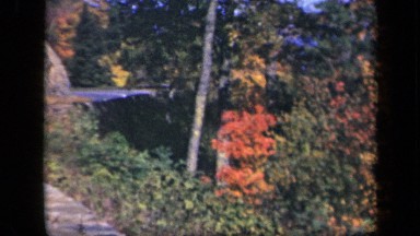 1943: A Winding Wooded Mountain Road in Fall Skyline Drive Virginia
