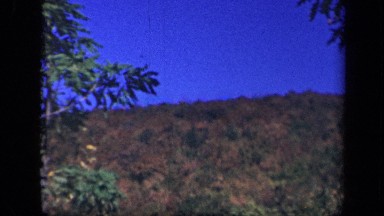 1943: Nature and Tranquility — Wind Blowing Through Trees on Clear Day Skyline Drive