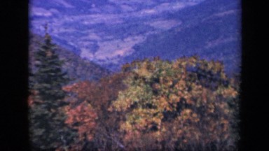1943: magnificent valley of mountain with amazing flora SKYLINE DRIVE VIRGINIA