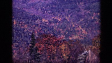 1943: beautiful view of nature SKYLINE DRIVE VIRGINIA
