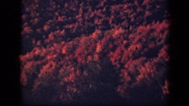 1943: aerial view of tree tops SKYLINE DRIVE VIRGINIA