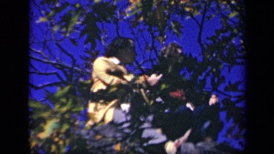1943: two persons are sitting in branches of tree during daytime SKYLINE DRIVE
