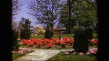 1943: stone path leading to garden with birdbath and blooming flowers SKYLINE