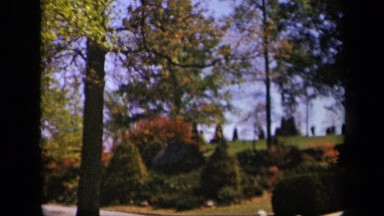 1943: this is natural scenery which looks like park gives relaxation to our mind