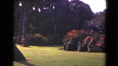 1944: very beautiful garden with green grass,trees and bushes with flowers KAUAI