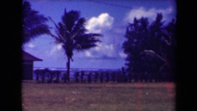 1944: view of part of small building next to palm trees in front of blue ocean